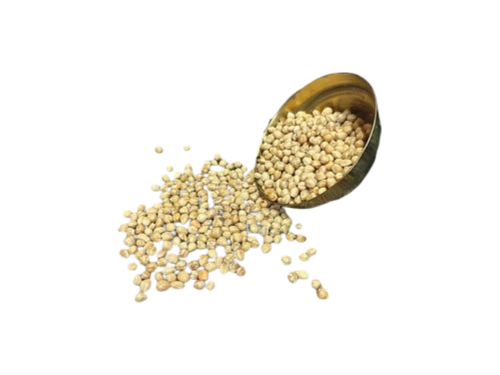 Picolo Haselnüsse