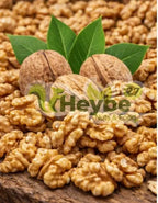 Ceviz İçi Ekstra | Walnusskerne Hälften | Heybe27 - Heybe27