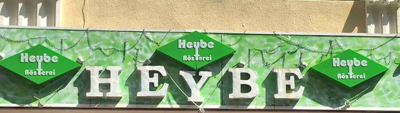 Bir Hayalin İlk Tohumları: Yolculuğun Başlangıcı